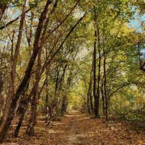 Ballagó folyó - "Az öntöző"