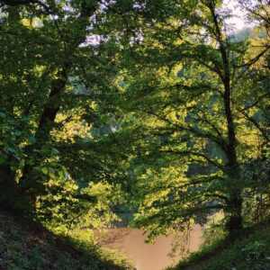 Ballagó folyó - "Az itató"