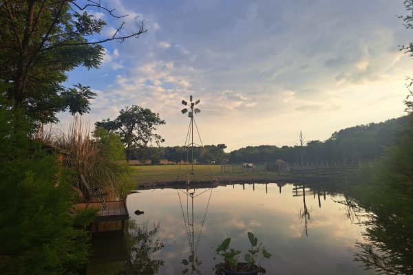 488916213_1228378465962419_3812013906605692367_n