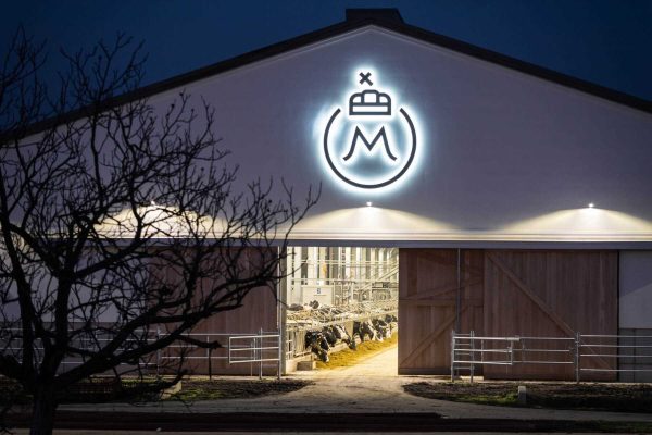 Mezohegyes_Nemzeti_Menesbirtok-55-scaled