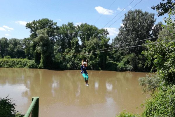 gallery_1920x1080_03